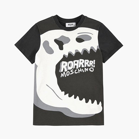 Donec fringilla sapien sed